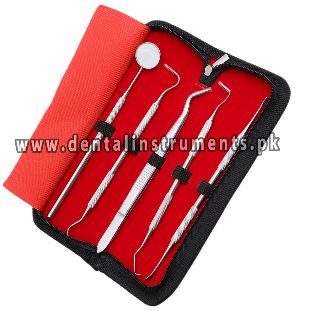 PROFESSIONAL DENTAL ORAL HYGIENE KIT