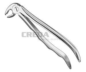 Extracting forceps, anat