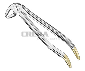 Extracting forceps, anat.