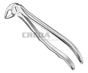 Extracting forceps, anat.