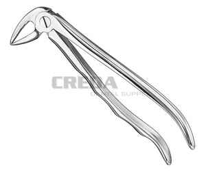 Extracting forceps, anat.