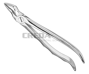 Extracting forceps, anat.