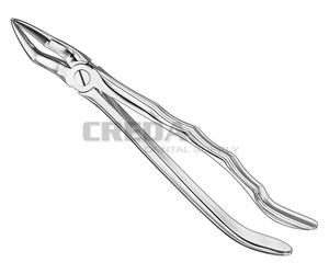 Extracting forceps, anat.