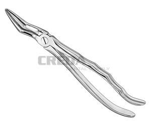 Extracting forceps, anat.