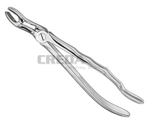 Extracting forceps, anat.