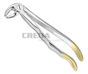 Extracting forceps, anat.