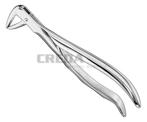 Extracting forceps, anat.