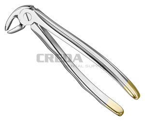 Extracting forceps, anat.