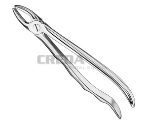 Extracting forceps, anat.