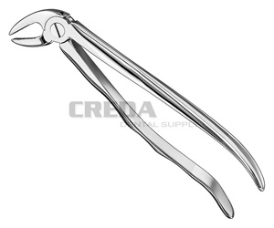 Extracting forceps, anat.