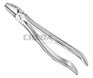 Extracting forceps, anat.