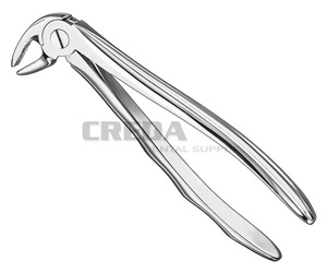 Extracting forceps, anat.