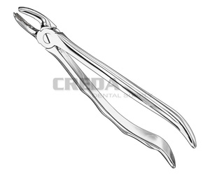 Extracting forceps, anat.