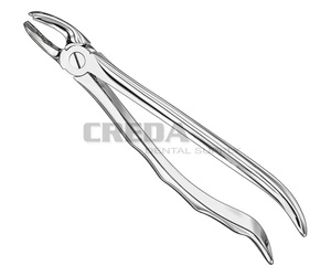 Extracting forceps, anat.