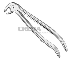 Extracting forceps, anat.