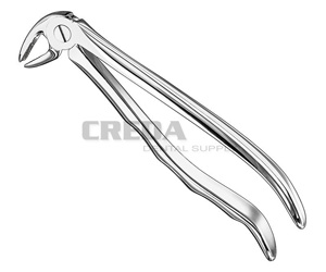 Extracting forceps, anat.