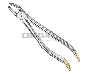 Extracting forceps, anat.