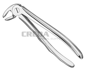 Extracting forceps, anat.