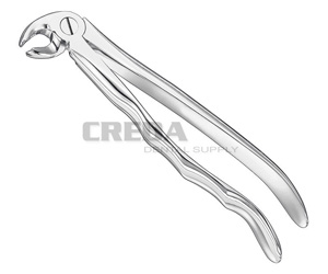 Extracting forceps, anat.