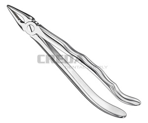 Extracting forceps, anat.