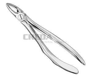 Extracting forceps, anat.