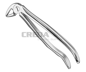 Extracting forceps, anat.