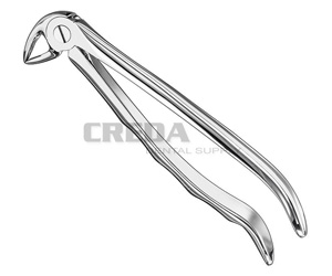 Extracting forceps, anat.