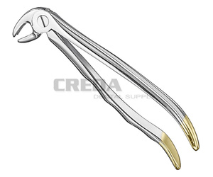 Extracting forceps, anat.