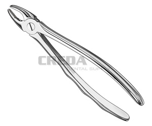 Extracting forceps, anat.