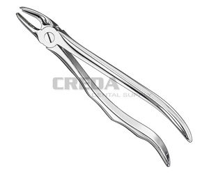 Extracting forceps, anat.