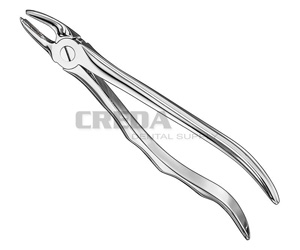 Extracting forceps, anat.