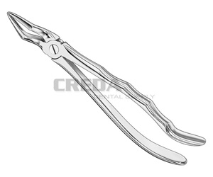 Extracting forceps, anat.