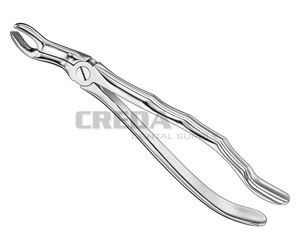 Extracting forceps, anat.