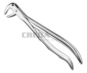 Extracting forceps, anat.