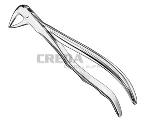 Extracting forceps, anat.