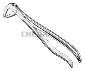 Extracting forceps, anat.