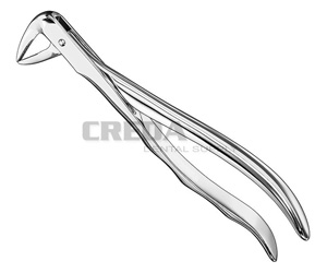 Extracting forceps, anat.