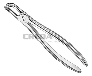 Extracting forceps, anat.