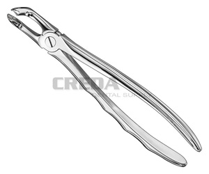 Extracting forceps, anat.