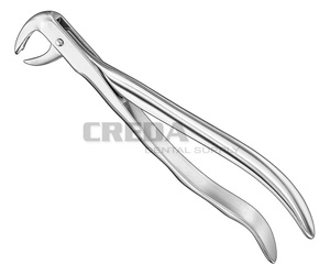 Extracting forceps, anat.