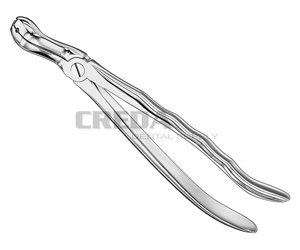 Extracting forceps, anat.