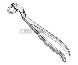 Extracting forceps, anat.