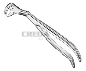 Extracting forceps, anat.