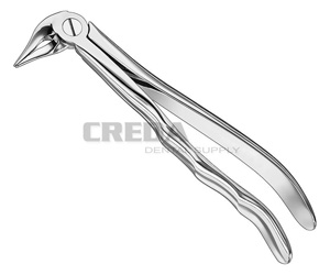 Extracting forceps, anat.