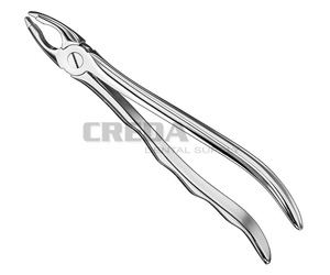 Extracting forceps, anat.