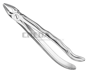 Extracting forceps, anat.