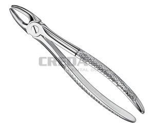Extracting forceps, engl.