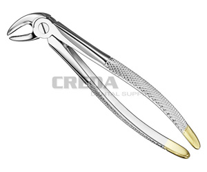 Extracting forceps, engl.