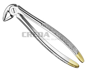 Extracting forceps, engl.