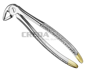 Extracting forceps, engl.